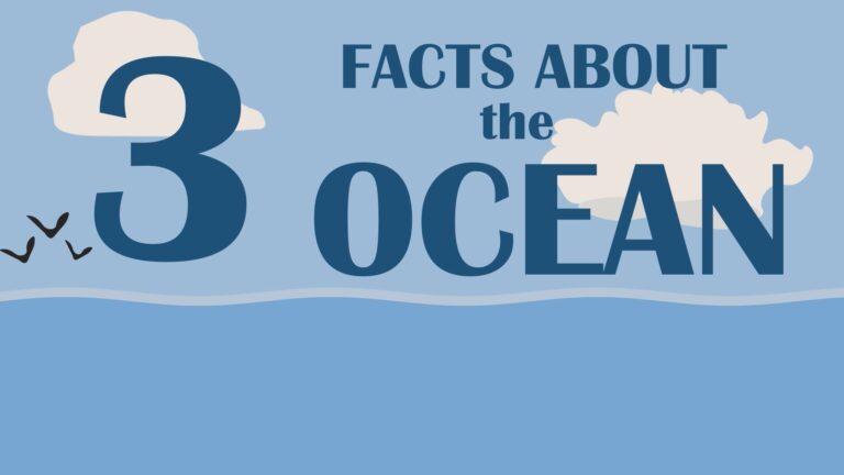 Thumbnail of a motion graphic GIF illustrating three facts about the ocean.